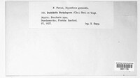 Image Associated With the Occurence